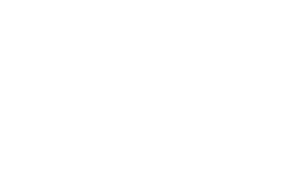 The Luxe Stones